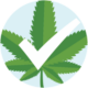 Marijuana Age Verify blog