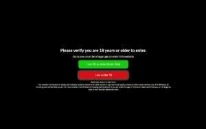 Easy Age Verify plugin screenshot - adult content warning