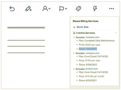 Blesta customer data display in Help Scout